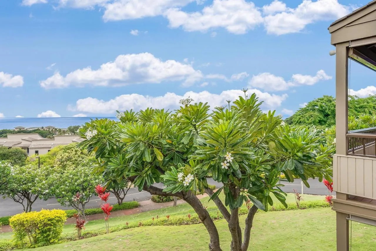 Wailea Ekolu 504ヴィラ 別荘