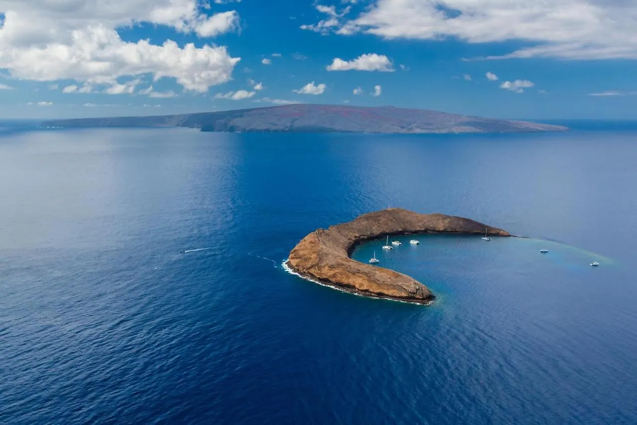 別荘 Wailea Ekolu 504ヴィラ 米国